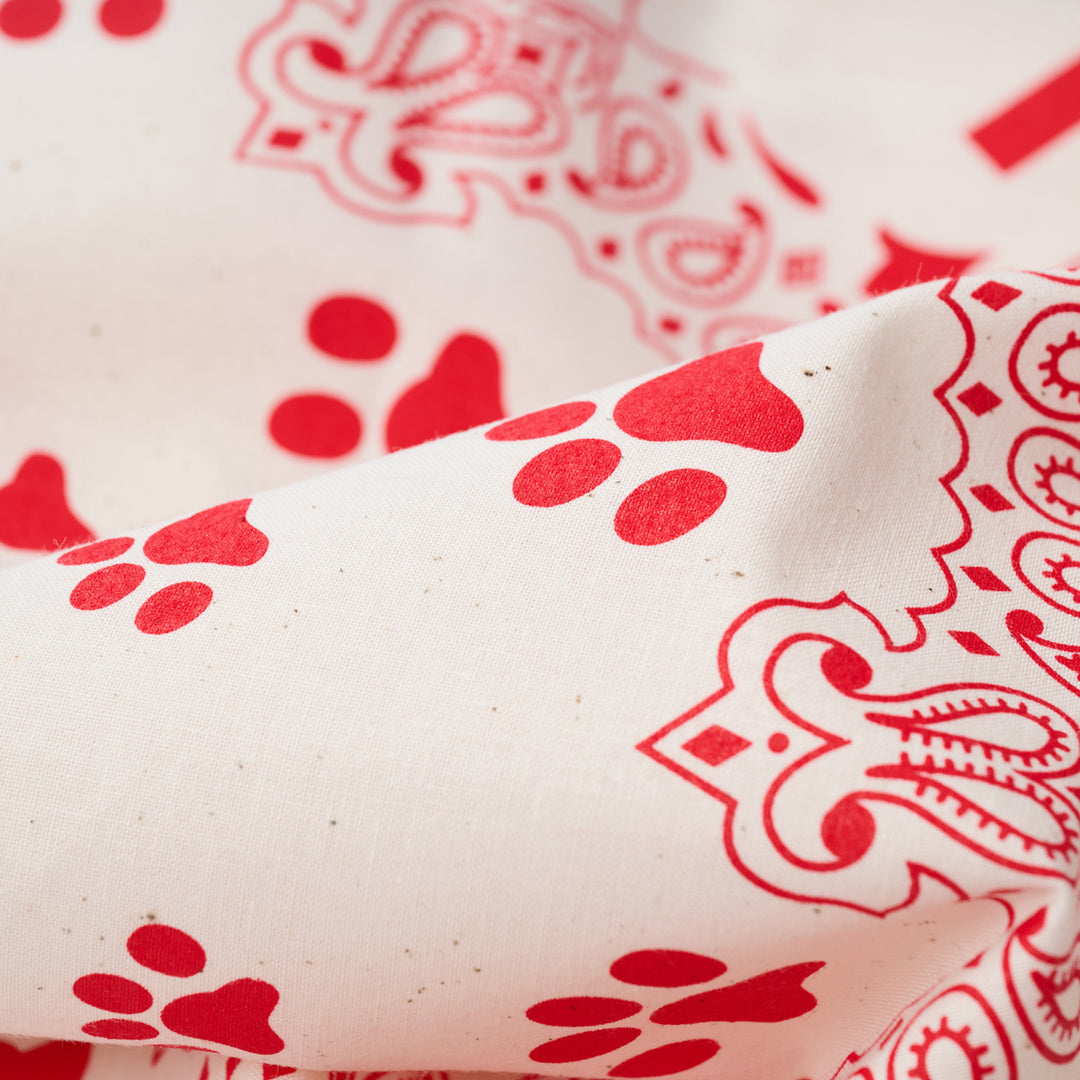 Pawprint Fiesta KW Bandana